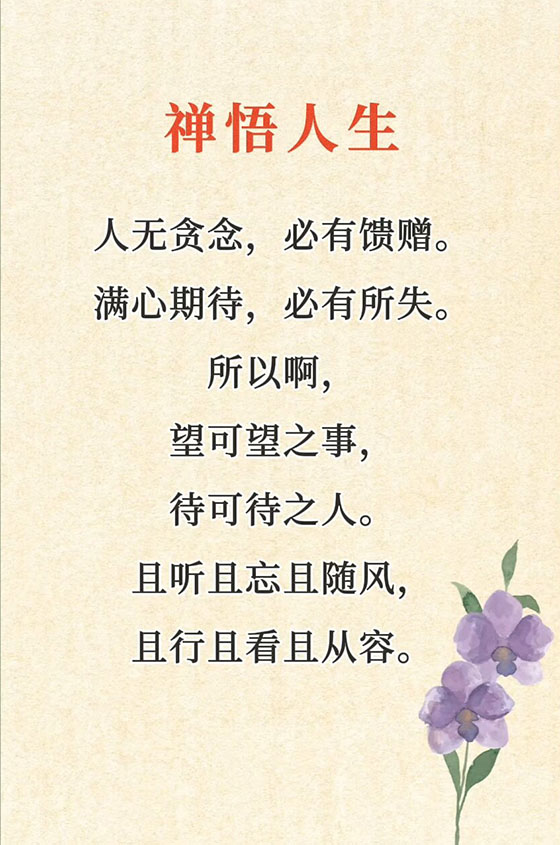 禅悟人生智慧：放下执念、活在当下与内心平静的修行之道